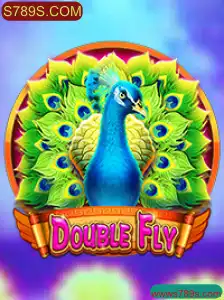 Descubra o Fascinante Mundo de DoubleFly